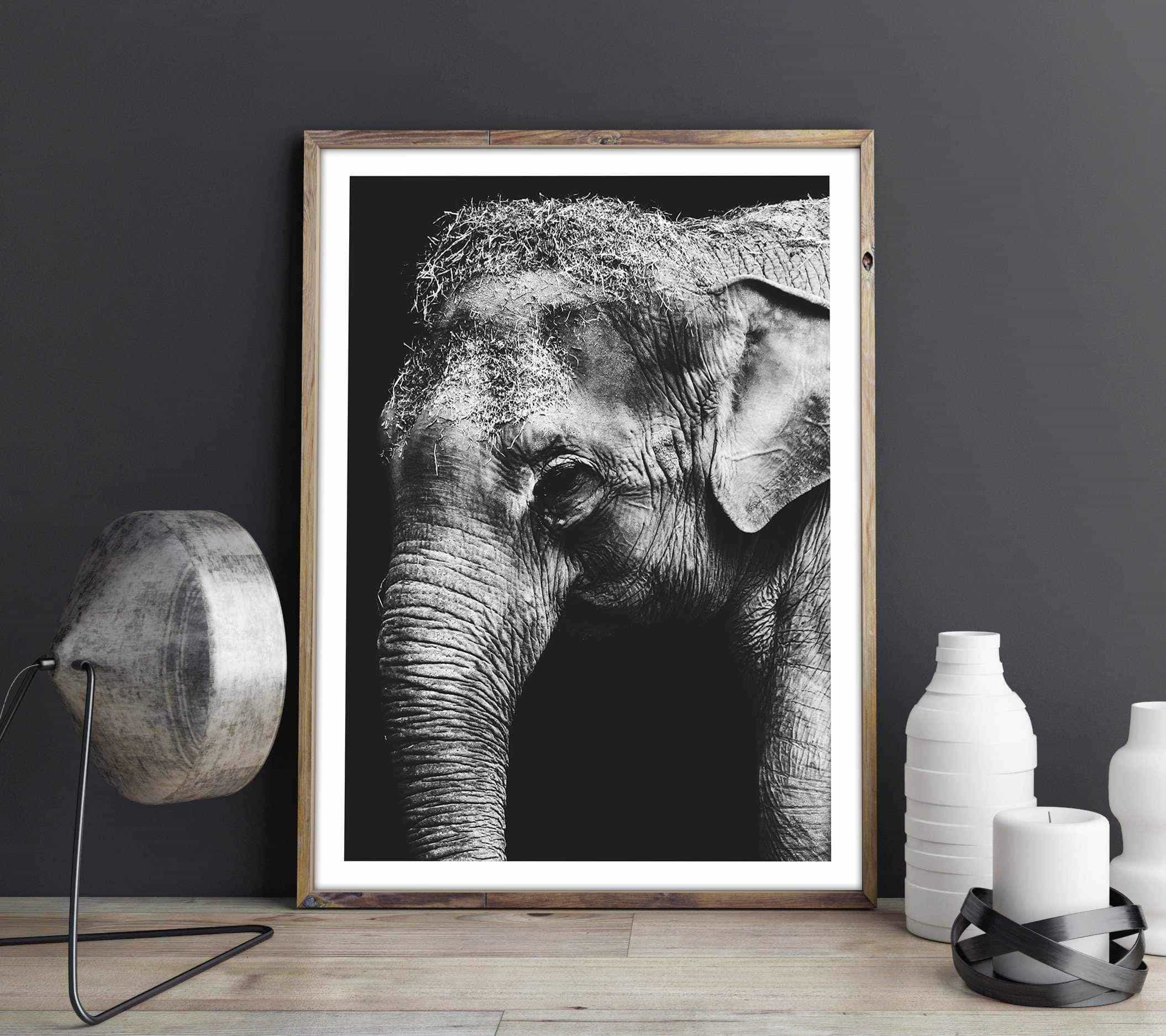 Elephant - Monochrome Posters, affischer, tavlor Pansarhiertadesign