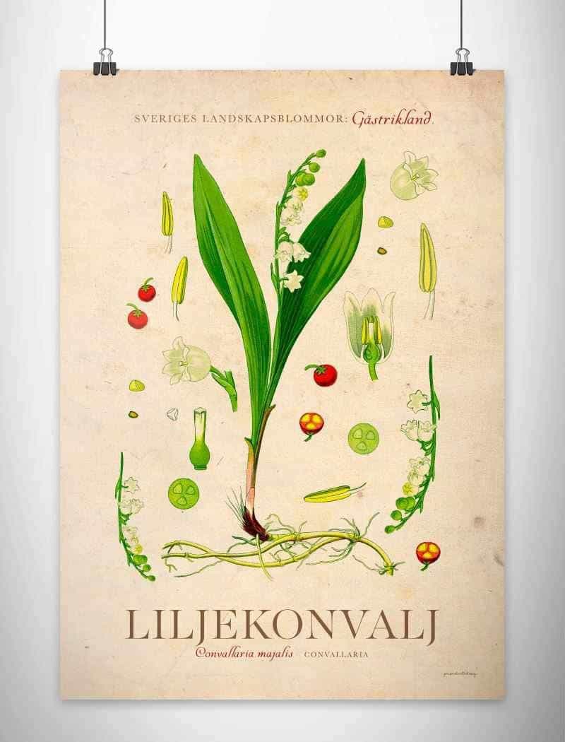 Gästrikland - Liljekonvalj Posters, affischer, tavlor Pansarhiertadesign