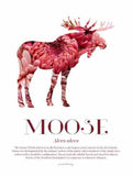 Moose - Scandinavian Wildlife Posters, affischer, tavlor Pansarhiertadesign